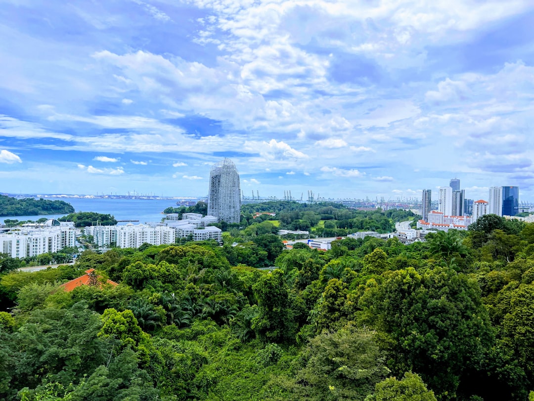 a city skyline with trees and water